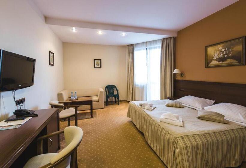 اتاق استاندارد یک نفره, Dziki Potok Karpacz Konferencje & Spa