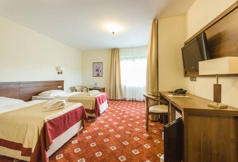 اتاق استاندارد, Dziki Potok Karpacz Konferencje & Spa