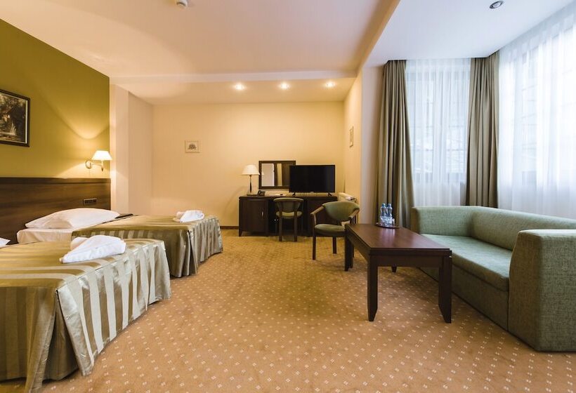 اتاق استاندارد, Dziki Potok Karpacz Konferencje & Spa