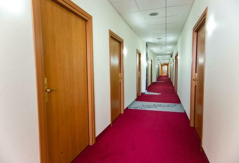 اتاق استاندارد یک نفره, Malinowski Business