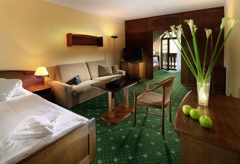 اتاق خانوادگی, Wellness Hotel Windsor