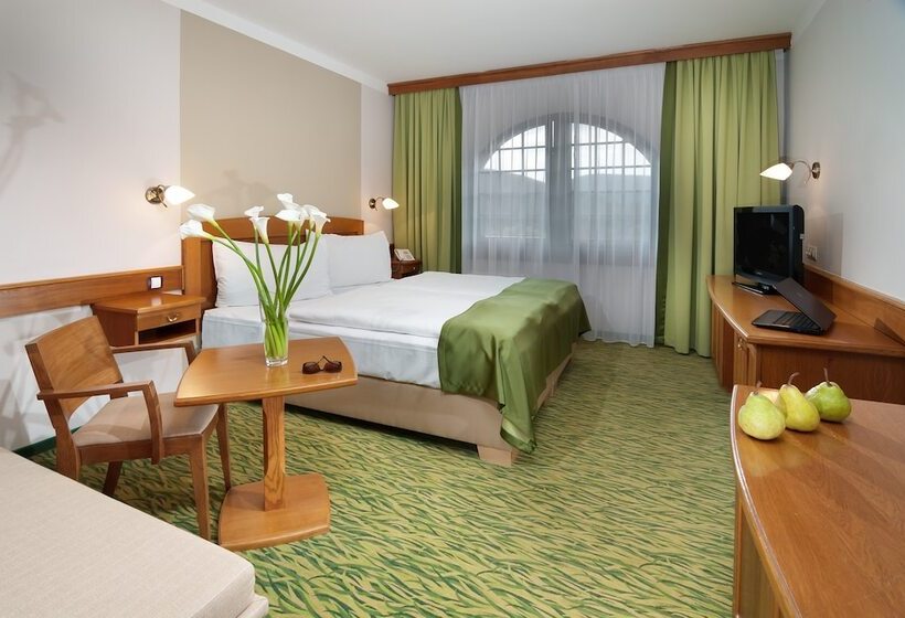 اتاق راحتی, Wellness Hotel Windsor