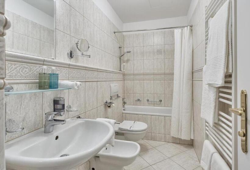 اتاق استاندارد, Spa Hotel Villa Ritter