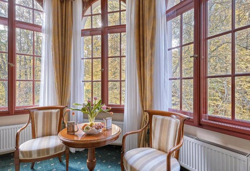 اتاق استاندارد, Spa Hotel Villa Ritter