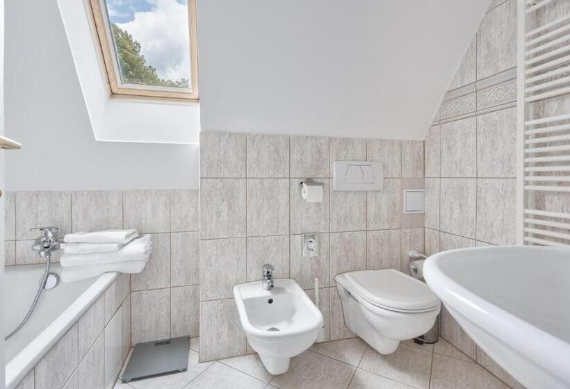 سوئیت جونیور خانوادگی, Spa Hotel Villa Ritter