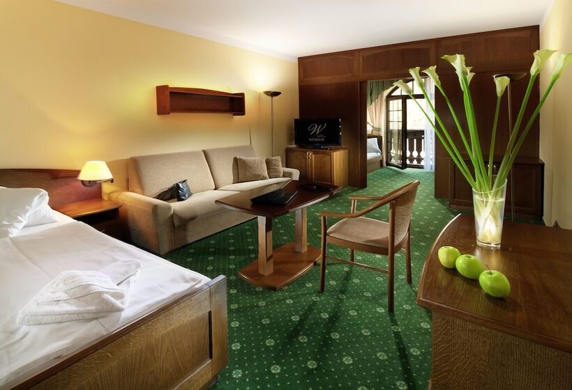 اتاق خانوادگی, Wellness Hotel Windsor