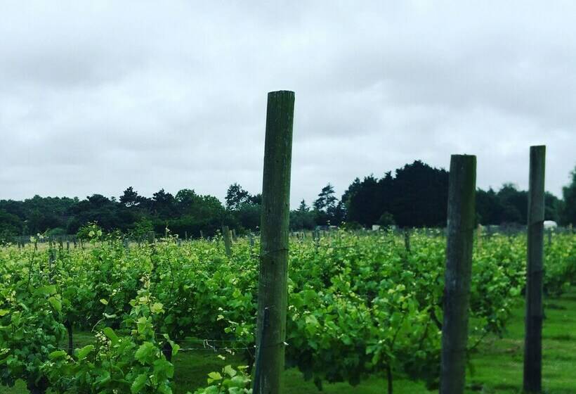 خانه 1 خوابه, Come & Stay On A Real Norfolk Vineyard