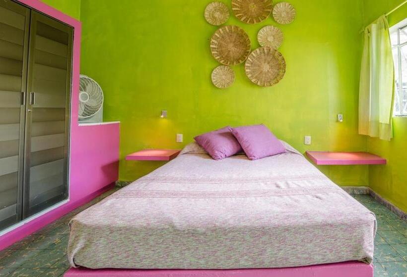 اتاق استاندارد با سرویس بهداشتی مشترک, Casa De Don Pablo Hostel