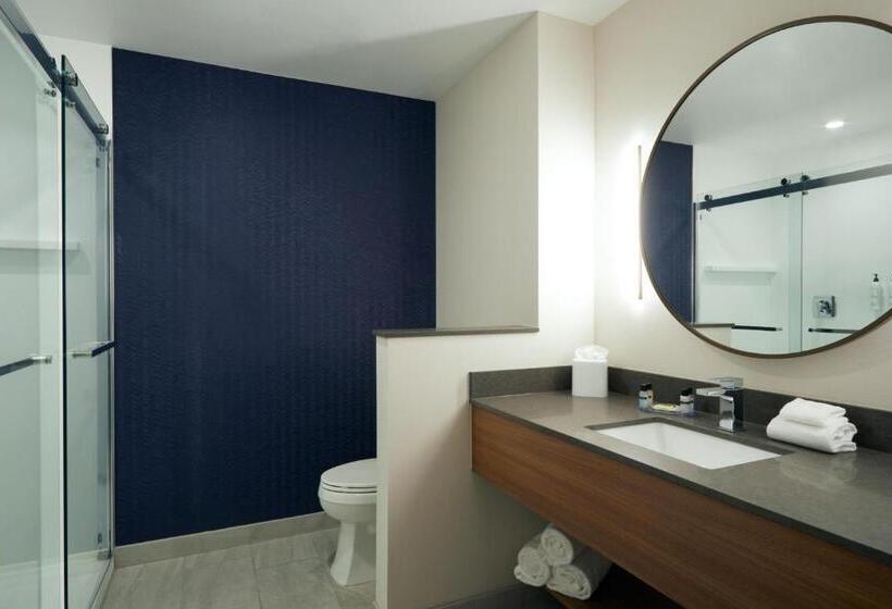 اتاق استاندارد با تخت بزرگ برای معلولان, Fairfield By Marriott Inn & Suites Palmdale West