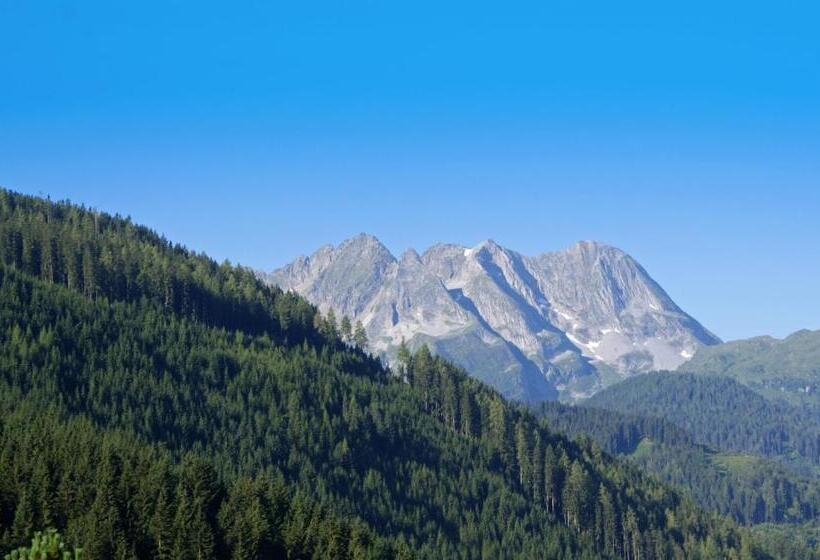 اتاق استاندارد یک نفره, Gasthof Riederhof