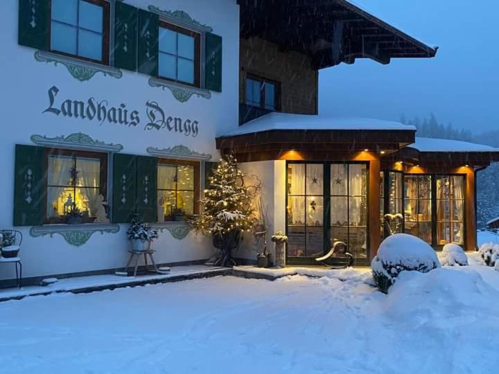 آپارتمان 1 خوابه با چشم‌انداز, Landhaus Dengg