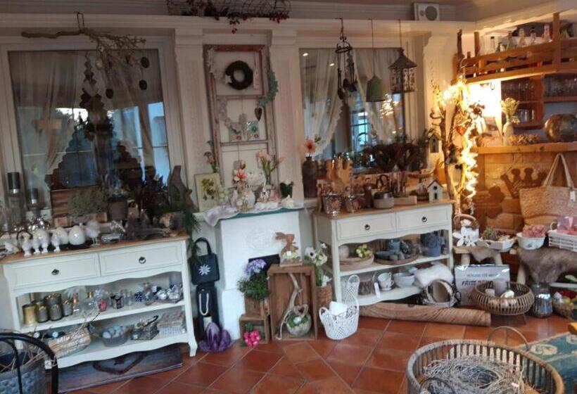 آپارتمان لوکس 2 خوابه, Landhaus Dengg
