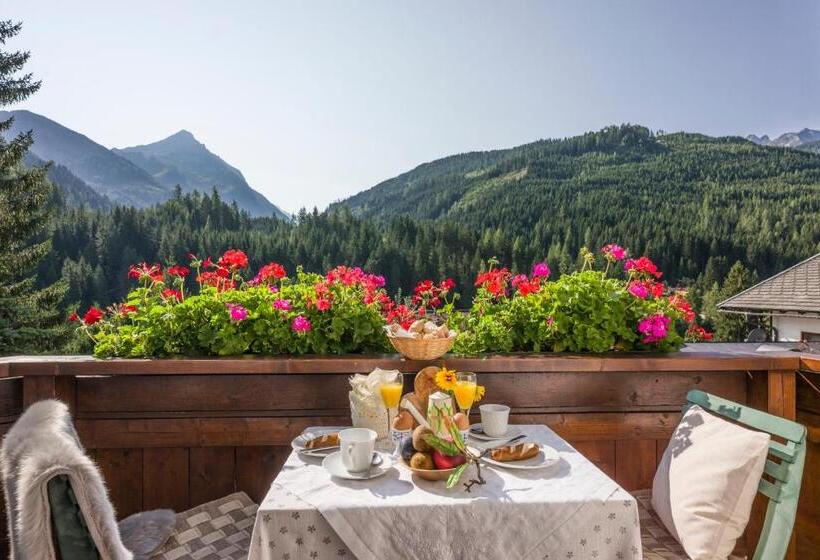 آپارتمان 1 خوابه با چشم‌انداز, Landhaus Dengg