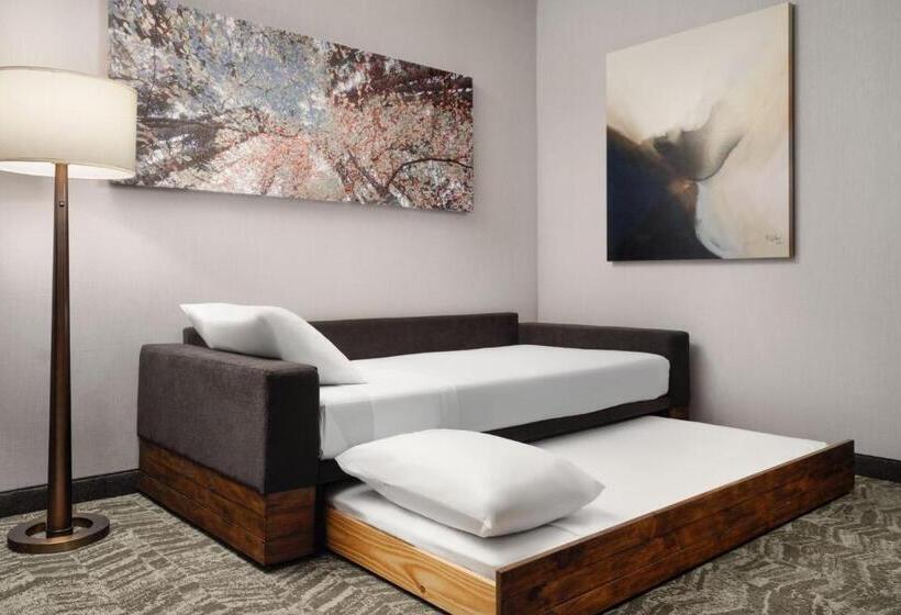 سوئیت با تخت بزرگ, Springhill Suites By Marriott Milpitas Silicon Valley