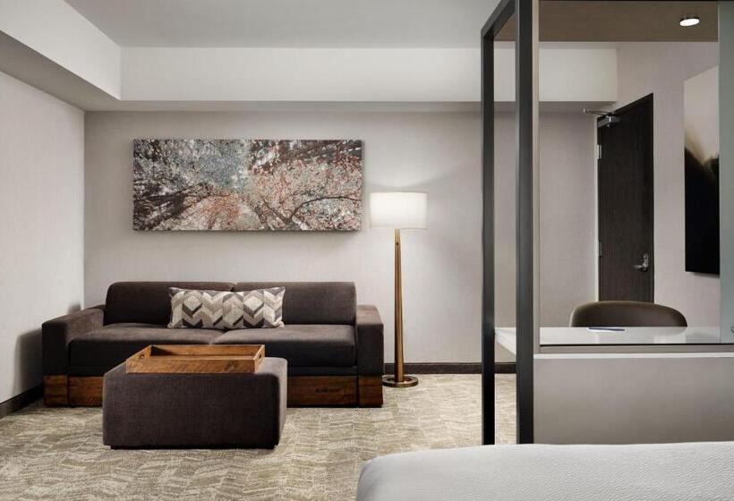 Suite Queen Bed, Springhill Suites By Marriott Milpitas Silicon Valley