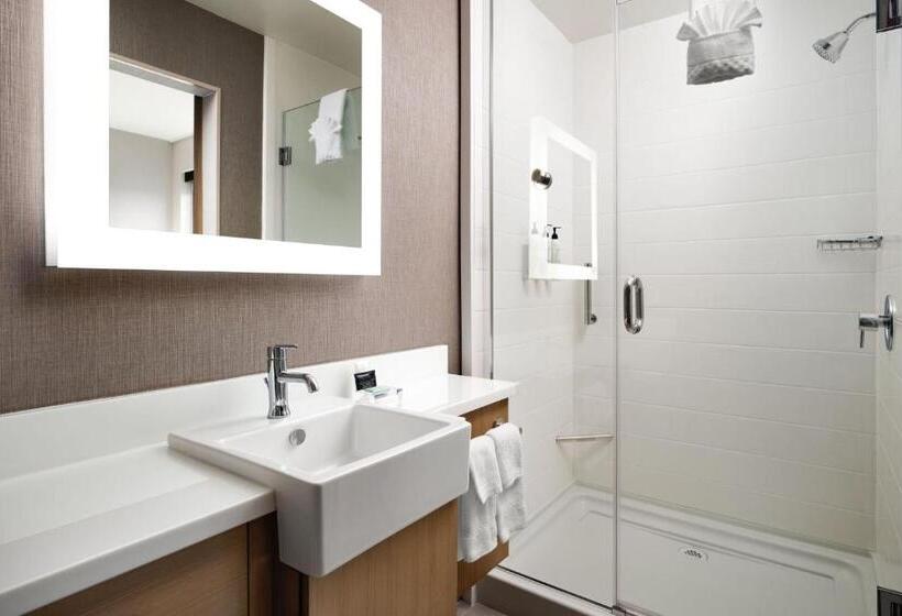 سوئیت برای معلولان, Springhill Suites By Marriott Milpitas Silicon Valley