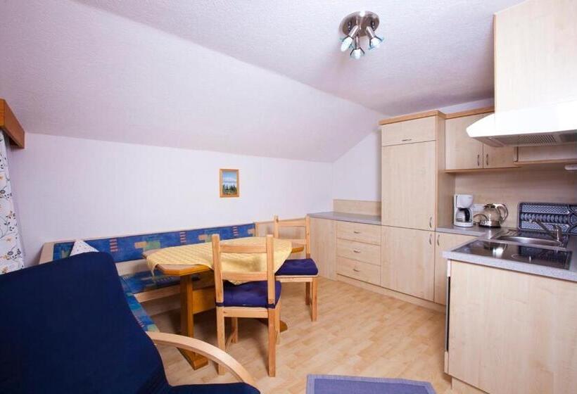 آپارتمان 1 خوابه با بالکن, Haus Stefan