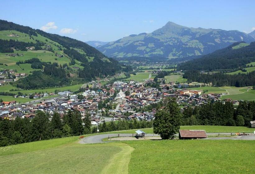 اتاق استاندارد با چشم‌انداز کوهستان, Gasthaus Obergaisberg