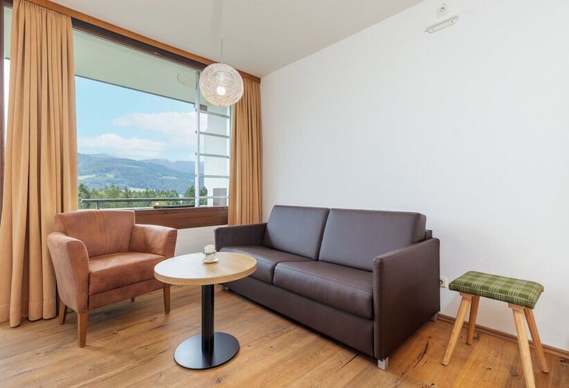 اتاق راحتی یک تخته, Alpenhotel Dachstein
