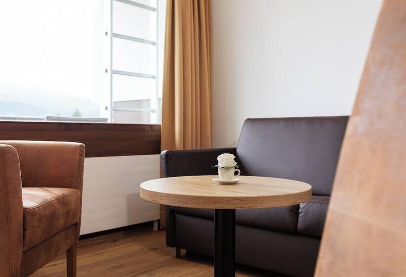 اتاق راحتی یک تخته, Alpenhotel Dachstein