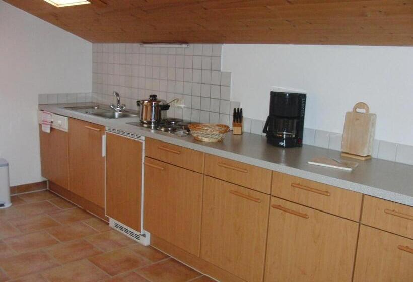 1 Bedroom Deluxe Apartment, Pension Heike