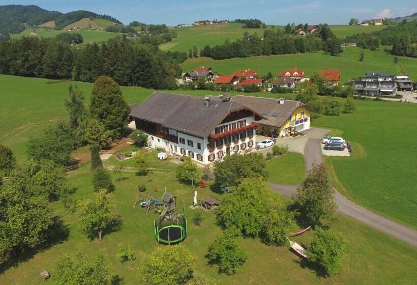 Habitación Estándar, Ferienhof Hinterstrasser