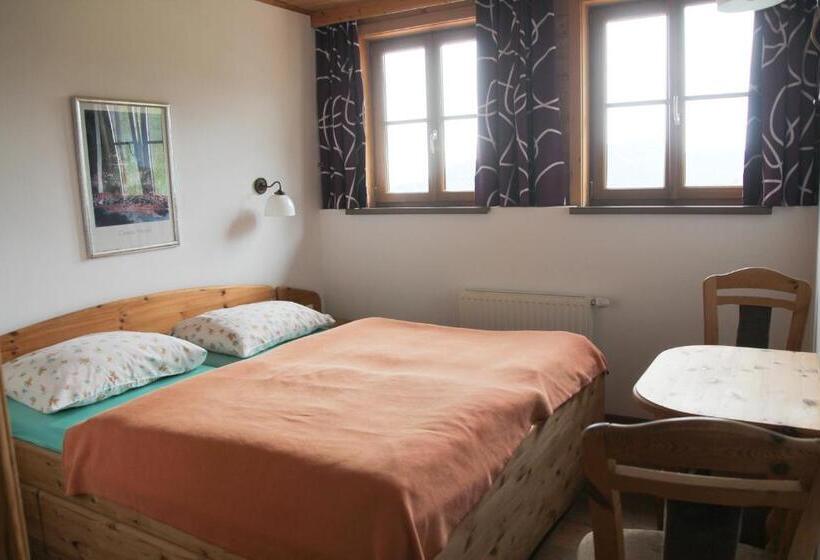 1 Schlafzimmer Apartment mit Balkon, Gesundheitshof Lohninger