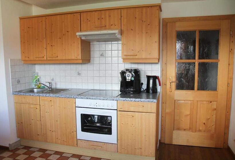 Apartament 1 Dormitor cu Balcon, Gesundheitshof Lohninger