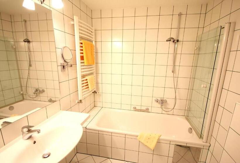 اتاق استاندارد یک نفره, Carinthia Stadt