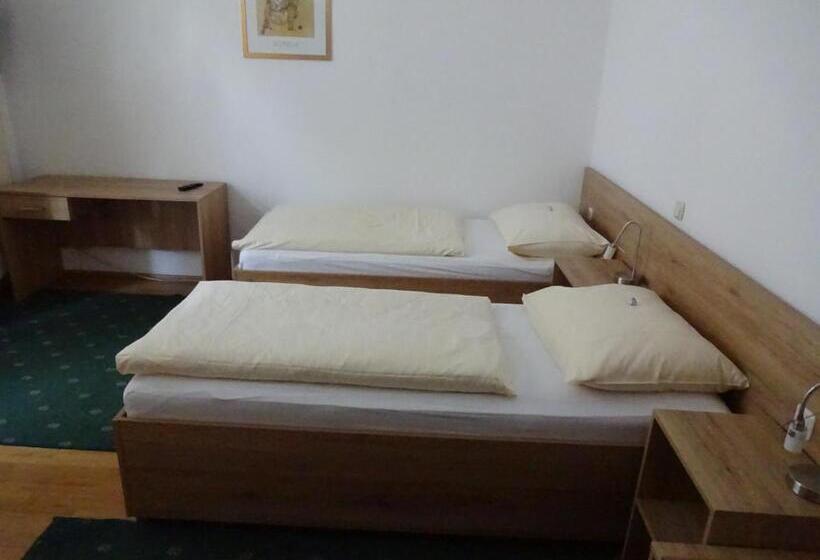 Standard Room, Garni & Hostel Sandwirt