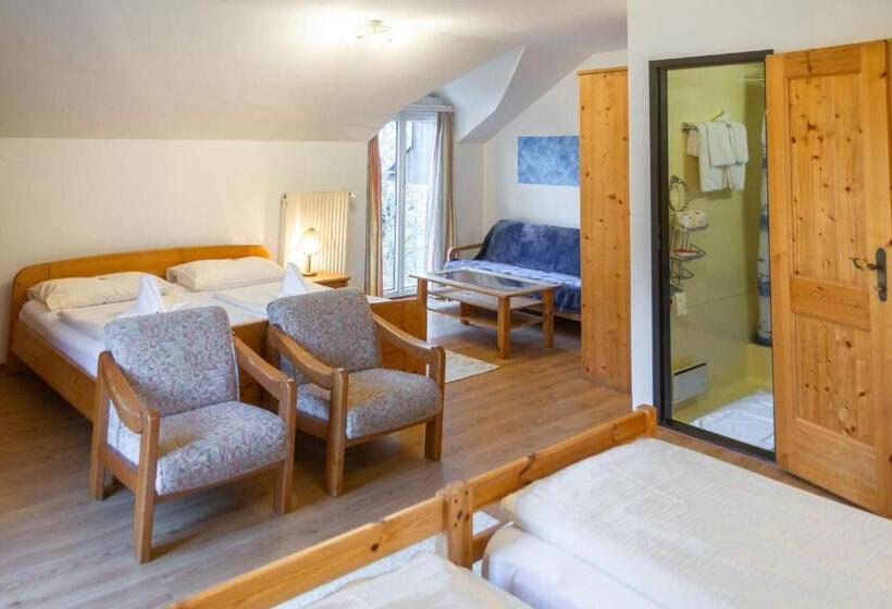 اتاق استاندارد چهار تخته, & Hostel Sandwirt