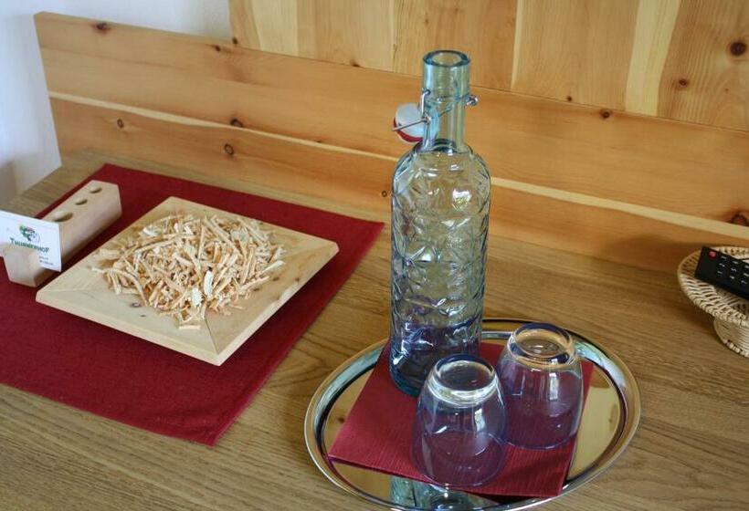 اتاق استاندارد یک نفره, Gasthof Thurnerhof