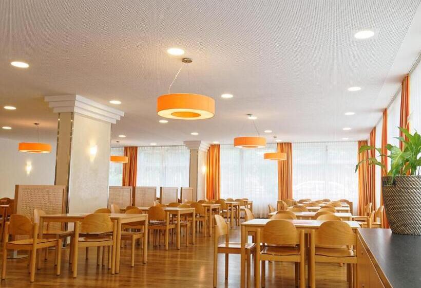 اتاق استاندارد یک نفره, Jugendgästehaus Bad Ischl