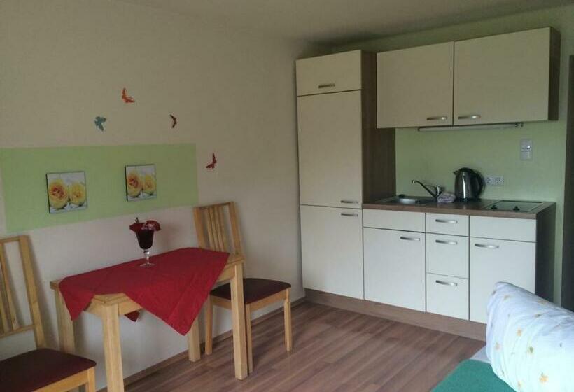 Apartamento 1 Dormitorio con Balcón, Rauhbergerhof