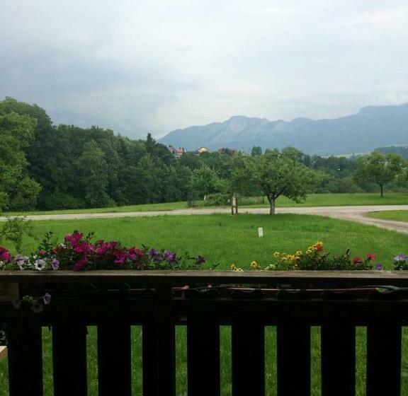 آپارتمان 1 خوابه با بالکن, Rauhbergerhof
