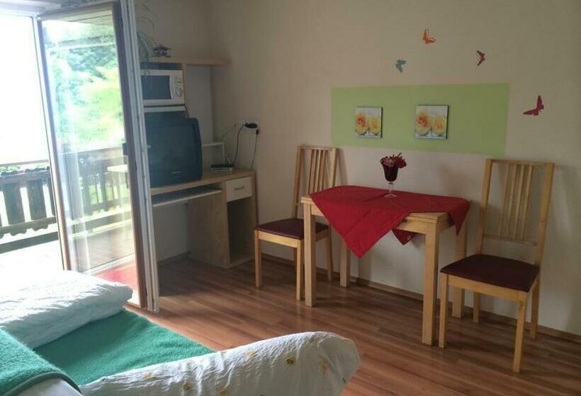 Apartamento 1 Dormitorio con Balcón, Rauhbergerhof