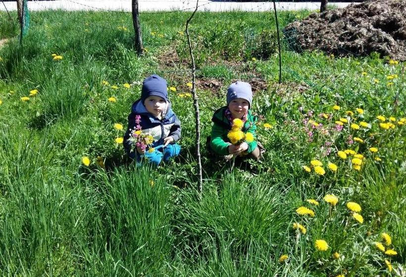 اتاق استاندارد, Weinbachbauer   Urlaub Am Bauernhof