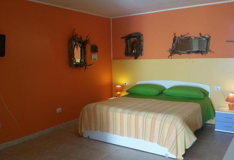 استودیوی استاندارد, Il Sogno Di Alghero   Adults Only