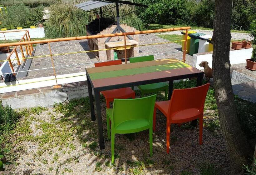 Apartamento 1 Dormitorio con Terraza, Il Sogno Di Alghero   Adults Only