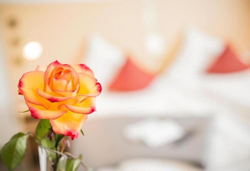 اتاق استاندارد, City Hotel Garni