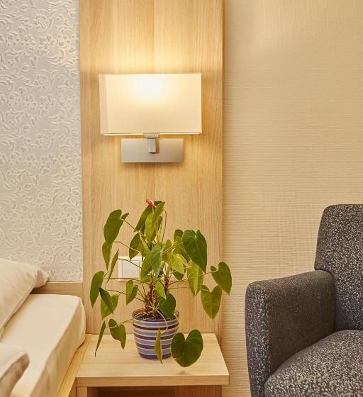 اتاق سوپریور, Flair Hotel Zum Schiff