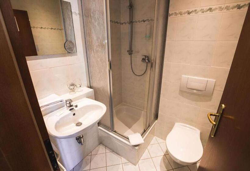 اتاق استاندارد یک نفره, Berghotel Friedrichshöhe