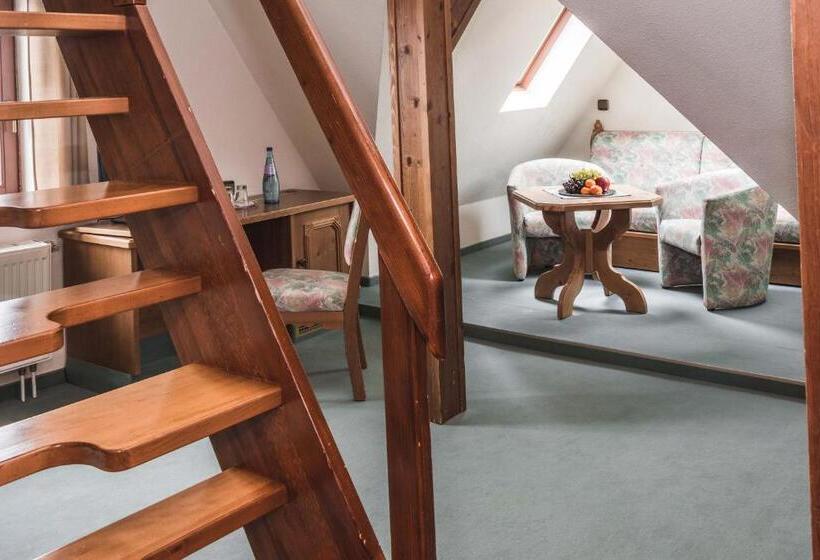 اتاق دوبلکس, Berghotel Friedrichshöhe