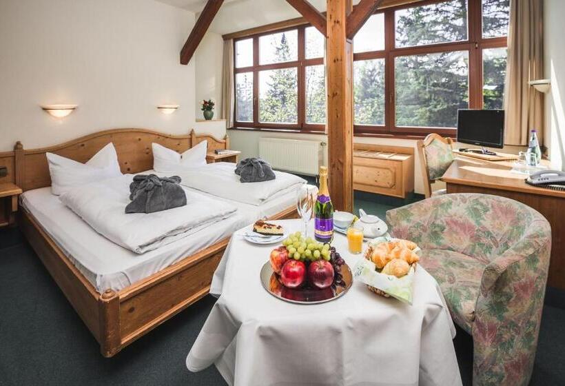 اتاق لوکس, Berghotel Friedrichshöhe