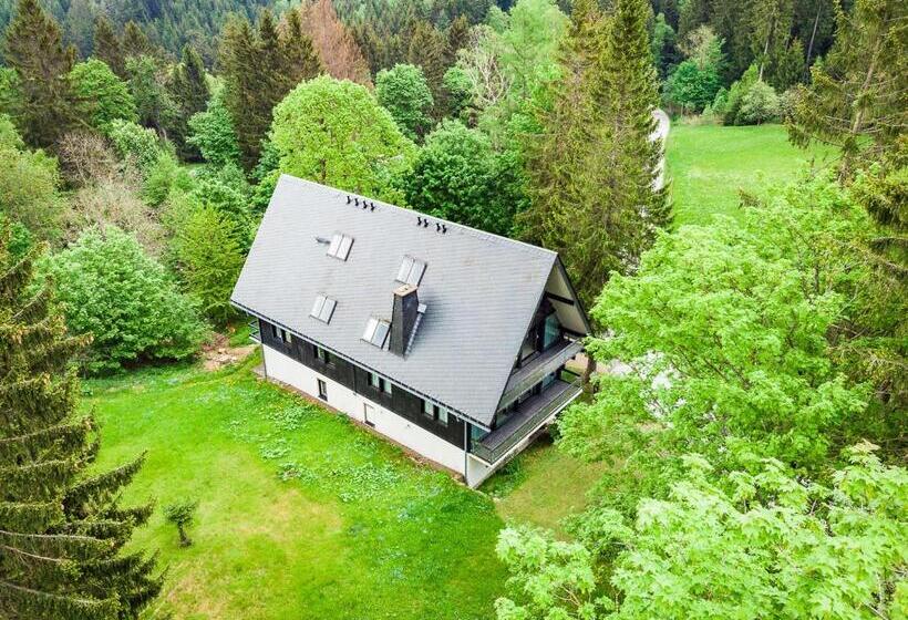 آپارتمان 1 خوابه, Berghotel Friedrichshöhe