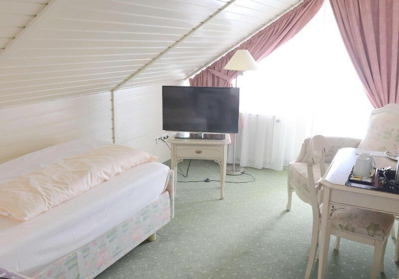اتاق اکونومی یک تخته, Sure Hotel By Best Western Rhoen Garden