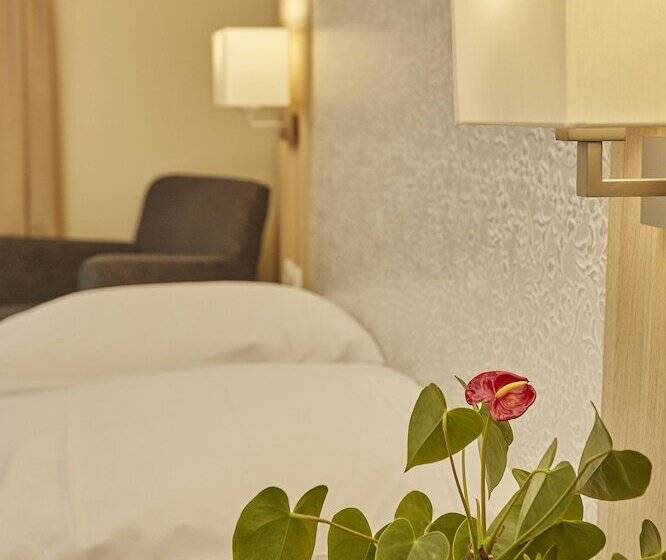 اتاق استاندارد, Flair Hotel Zum Schiff