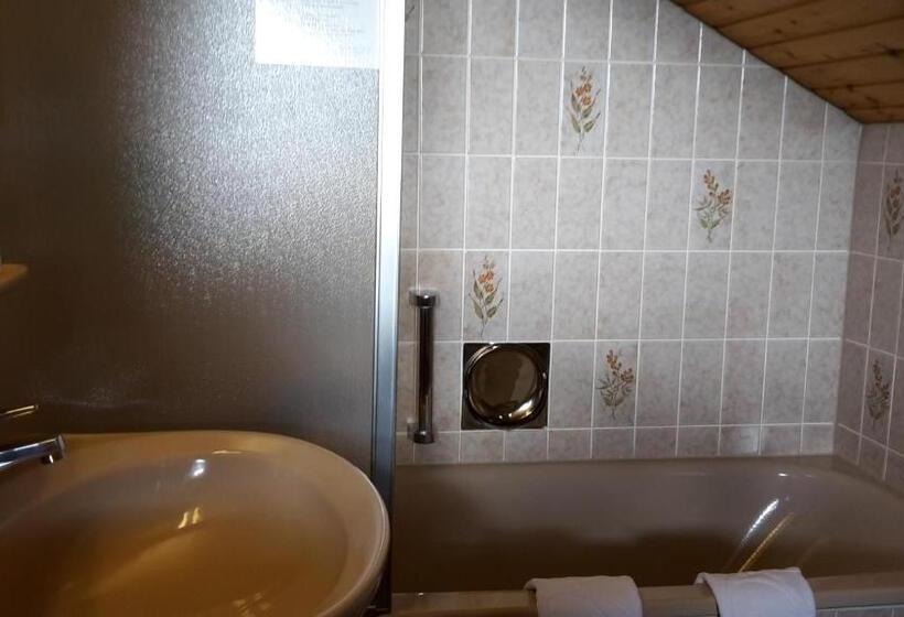اتاق اکونومی یک تخته, Bergseele Privat  & Retreathotel Schwarzwald