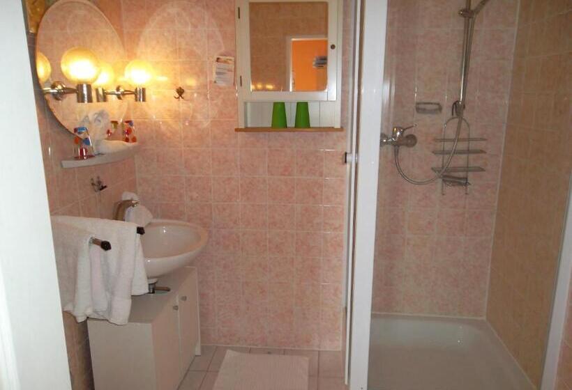 اتاق استاندارد, Mainzer Rad