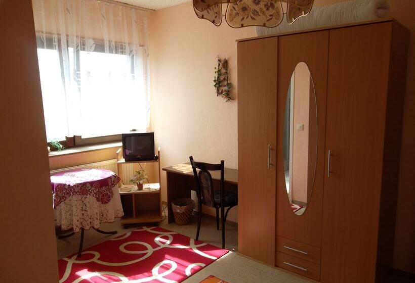 Standard Single Room, Pension Mainzer Rad